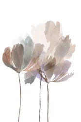 柔らかな水彩の花々