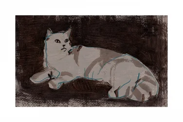休む白い猫