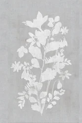 白い花のシルエット