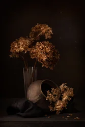 「ダーク・アジサイの静物画」