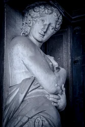 マルシアナ図書館（ヴェネツィア、イタリア）（写真